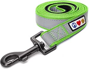 Pawtitas 6 FT Padded Dog Leash with Comfortable Neoprene Padding Handle - Green Lead | Medium Reflective Dog Leash with Highly Reflective Band Perfect for Medium and Large Dogs and Puppies.