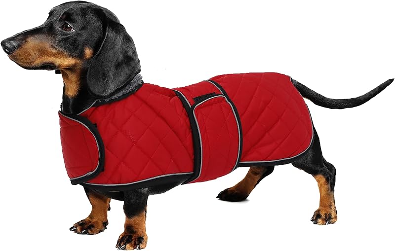 Casaco de Inverno para Cães Dachshund Geyecete, Impermeável com Forro de Fleece e Faixas Ajustáveis, Vermelho S