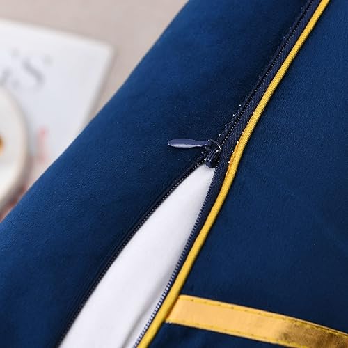 Miniatura 6 de WACOMECO Juego de 2 fundas de almohada doradas, fundas de cojín de terciopelo de lujo suaves y decorativas con piel dorada para sofá, dormitorio,