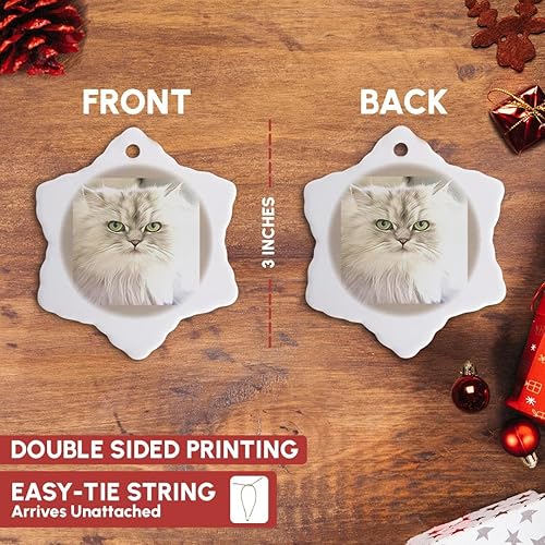 Miniatura 3 de 3dRose pintura de gato persaimagen de pintura de gato persaadornos