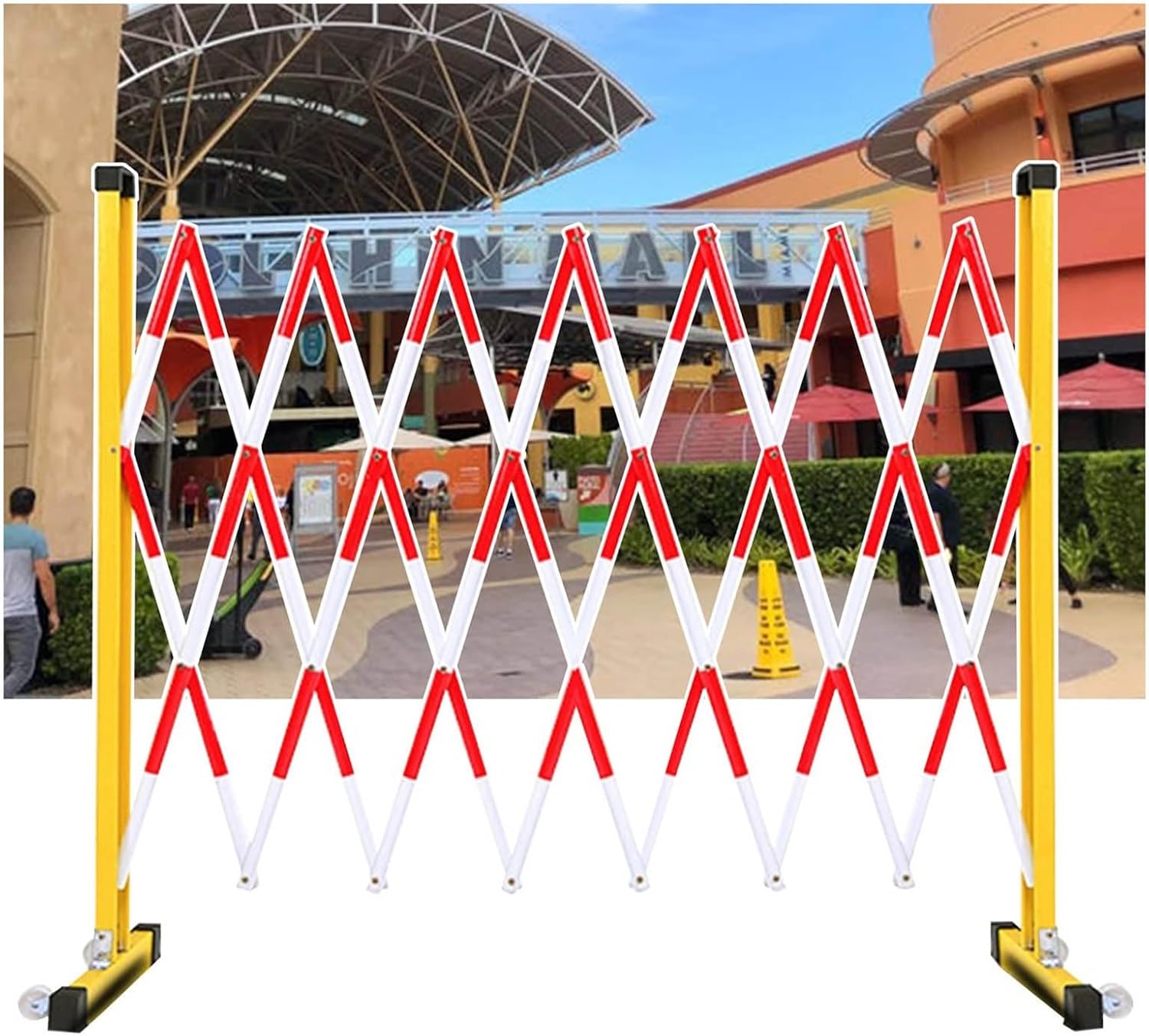 掛け軸 玉芳 『 桔梗 』 中島清堂 識箱 絹本 希少 軸装 茶道具 掛軸 美