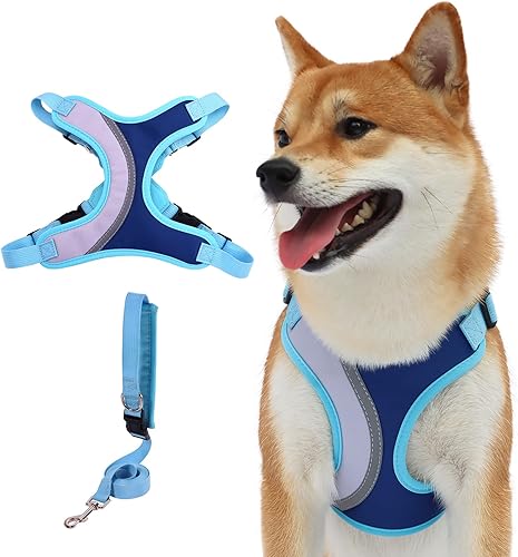 Miniatura 1 de BEYFIRG _ Juego de arnés y correa para perros pequeños y medianos, arnés ligero y suave para cachorros, juego de arnés ajustable y reflectante para