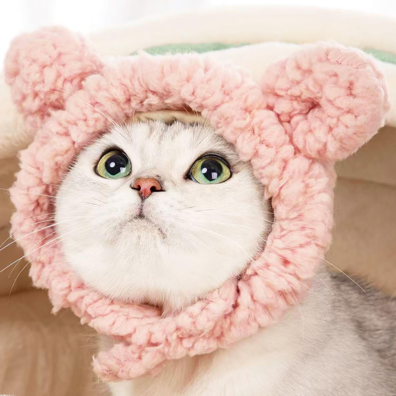 Chapeaux De Chat En Forme D'Ours 2 Pièces, Chapeaux Mignons Pour Animaux De Compagnie, Accessoires De Déguisement Pour Animaux De Compagnie, Chapeaux Chauds Pour Animaux De Compagnie, Marron)