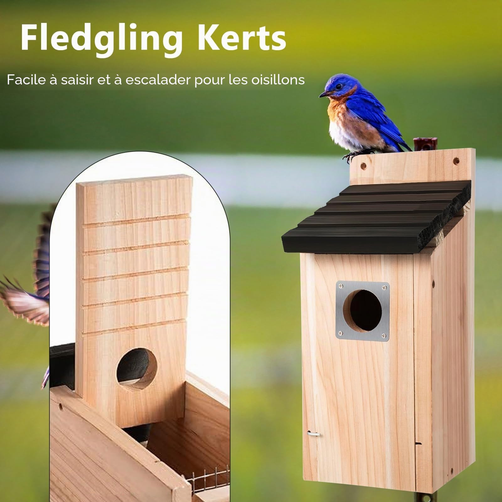 Nichoirs pour oiseaux, nichoir pour oiseaux sauvages, nichoir stable pour oiseaux sauvages, cavité de nidification, maison d'oiseaux en bois de pin à suspendre, résistant aux intempéries à suspendre