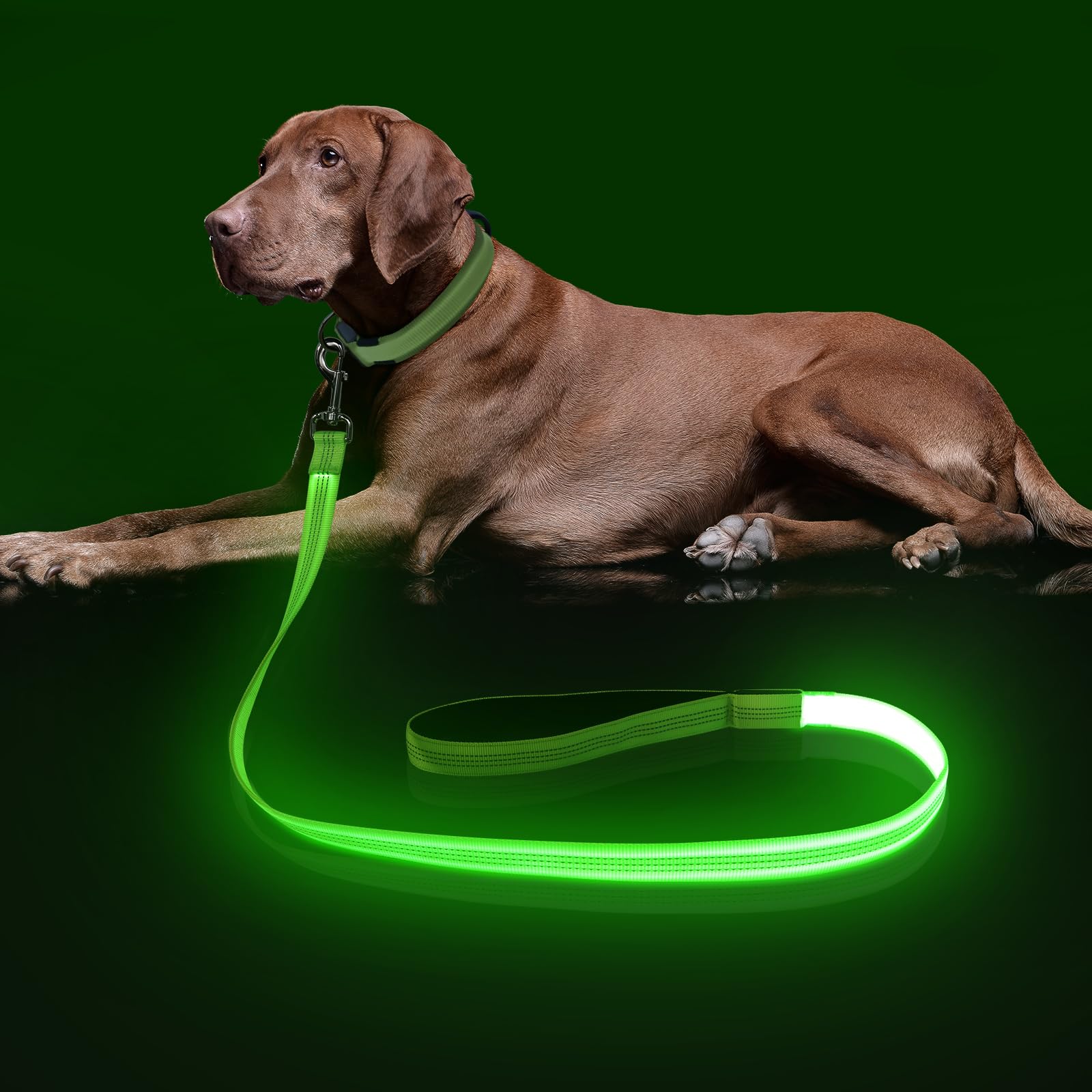 Colaseeme Light Up Dog Leash, LED Pet Leashes USB Rechargeable, Glow Safety Dogs Lights at Night (4FT,Green-New)