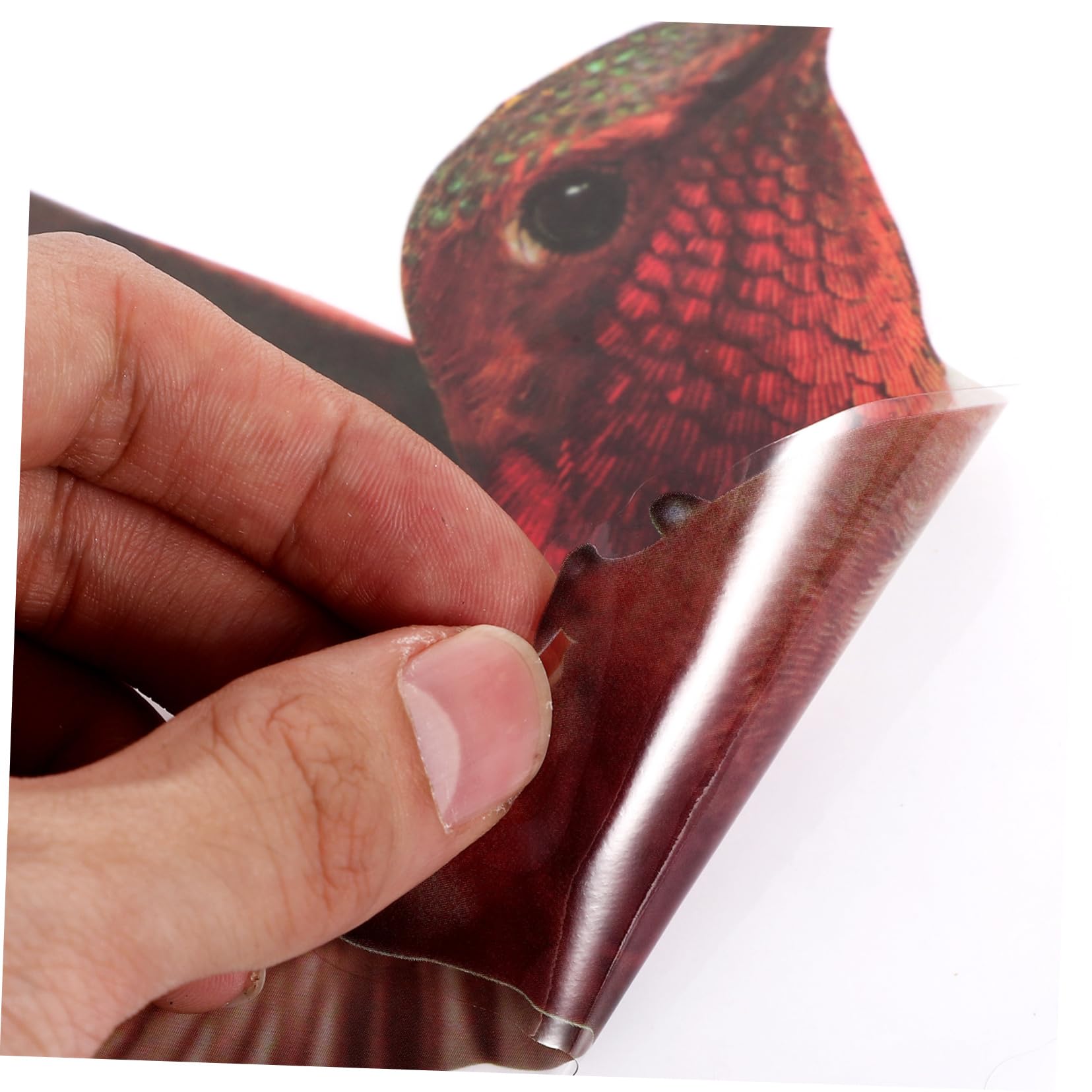 HOMSFOU 21blätter Teiliges Fensteraufkleber Bunten Vogelmotiven Dekorative Wandsticker Für Wohnzimmer Schlafzimmer Küche Und Badezimmer Selbstklebende Abnehmbare Ornamente Für