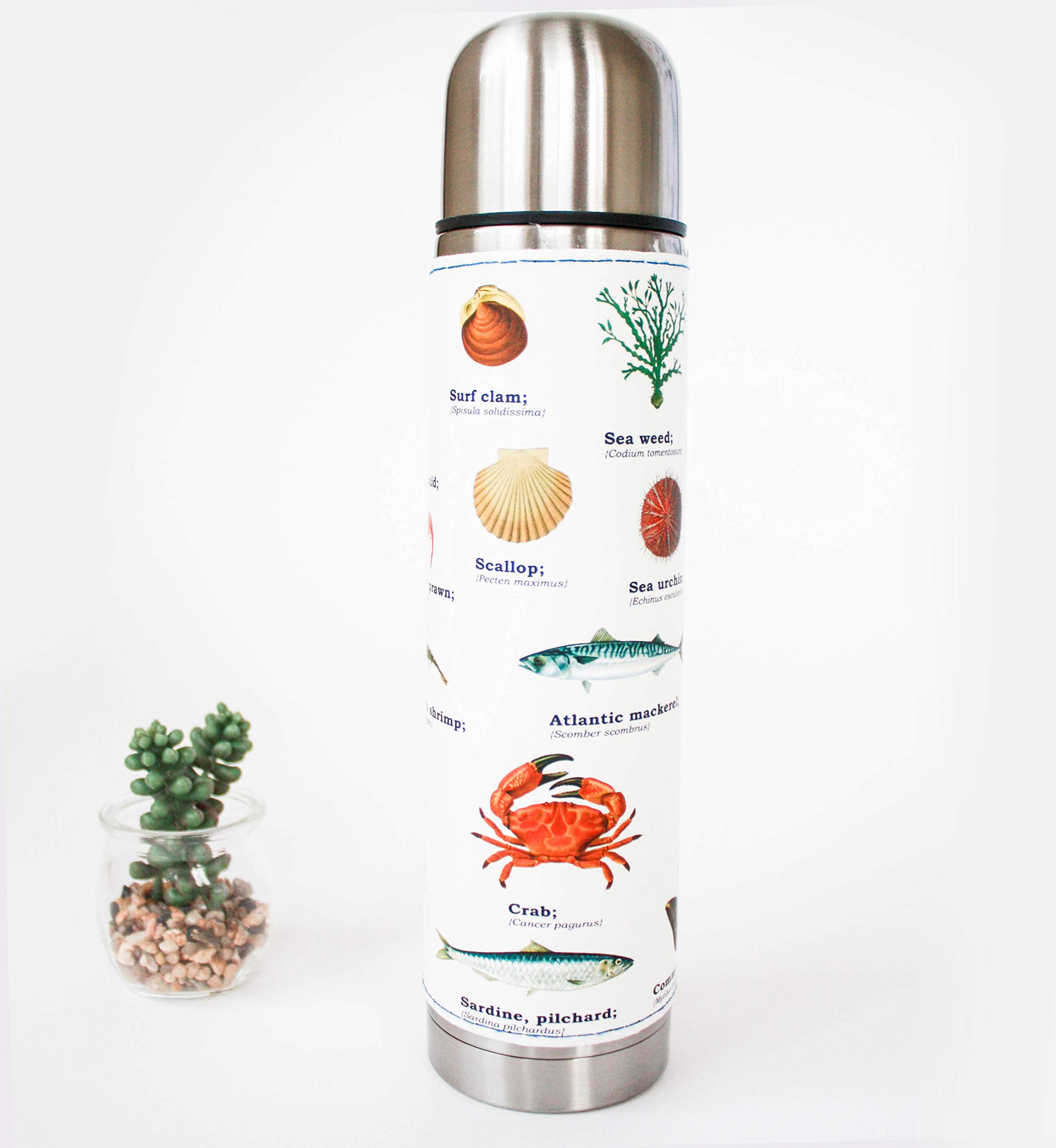 Gift Republic GR270106 Sea Life Flask, Stainless-Steel, 500 milliliters, Multi