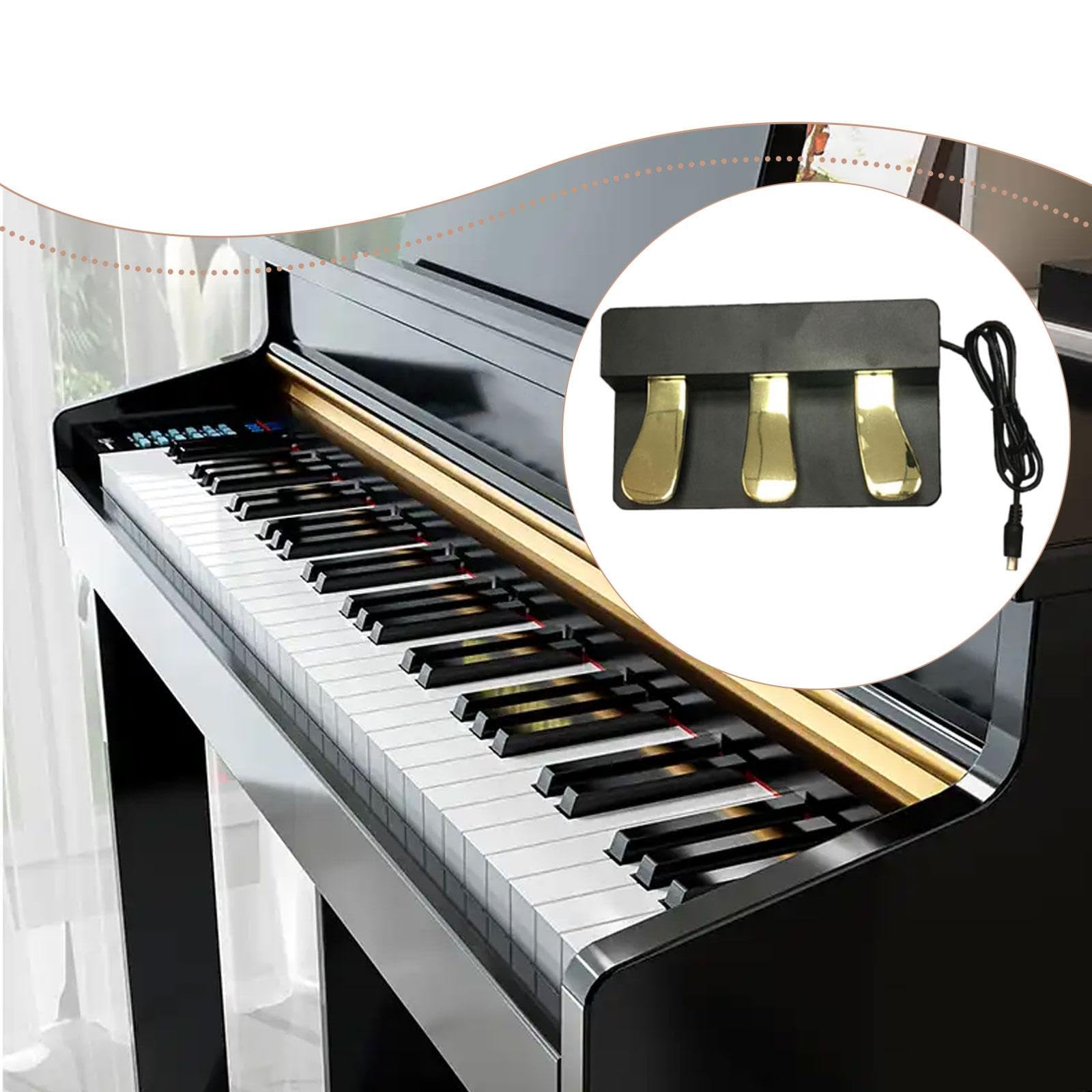 Qianly Pedal de Sostenido Compacto para Piano Pedal Sintetizador Pedal Instrumento Musical Antideslizante Resistente Adecuado para Práctica en Casa, con Tapa