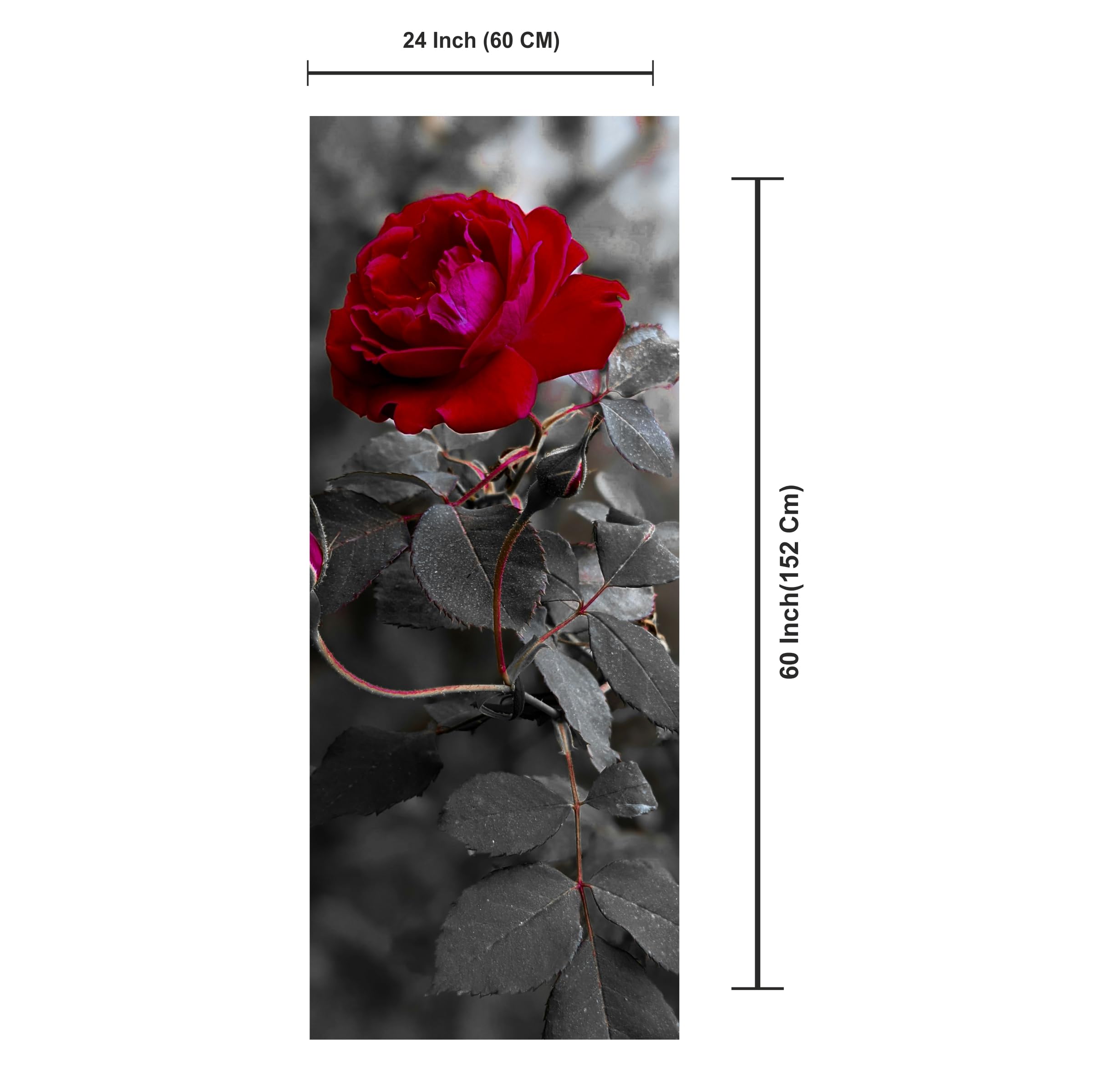 DECOR PLUS DECAL Modern Red Rose Botanical Fridge Door Sticker, Black and White Fridge Door Sticker, Vinyl, 60 x 152 cm, Self-Adhesive, Gloss Finish, Indoor Decor, Rectangular