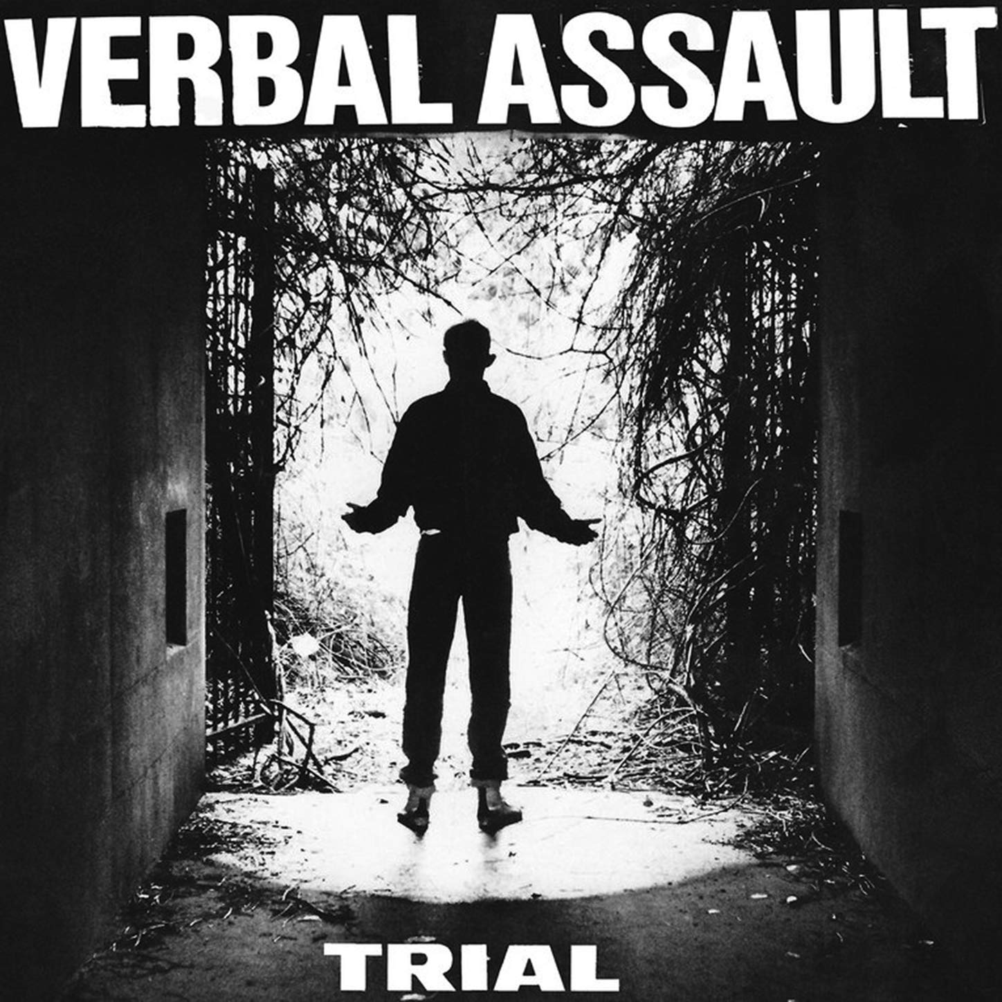 Verbal Assault