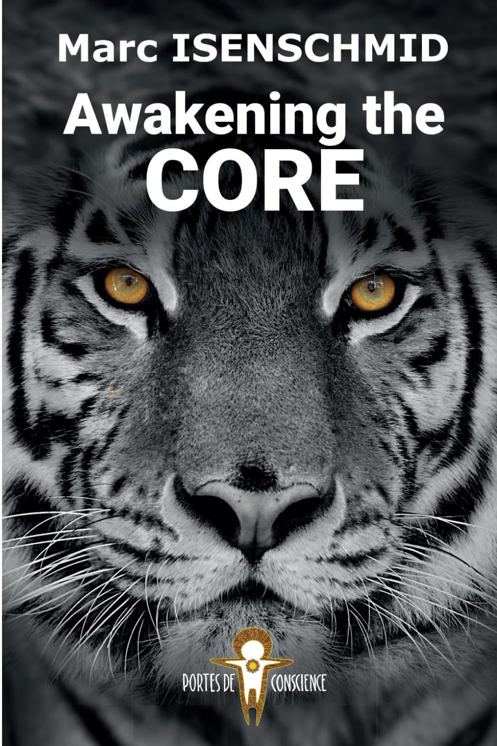 Awakening the Core: Discover the invisible frameworks of your creation (Doors of consciousness)