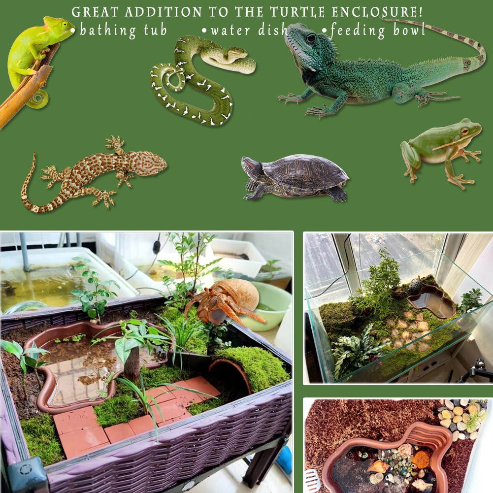 Piscina d'acqua per rettili per balneazione delle tartarughe, accessori e recinzione per habitat per salamandra, drago barbuto, lucertola, rana, serpente, geco, ciotola per acqua, pinzette e set da