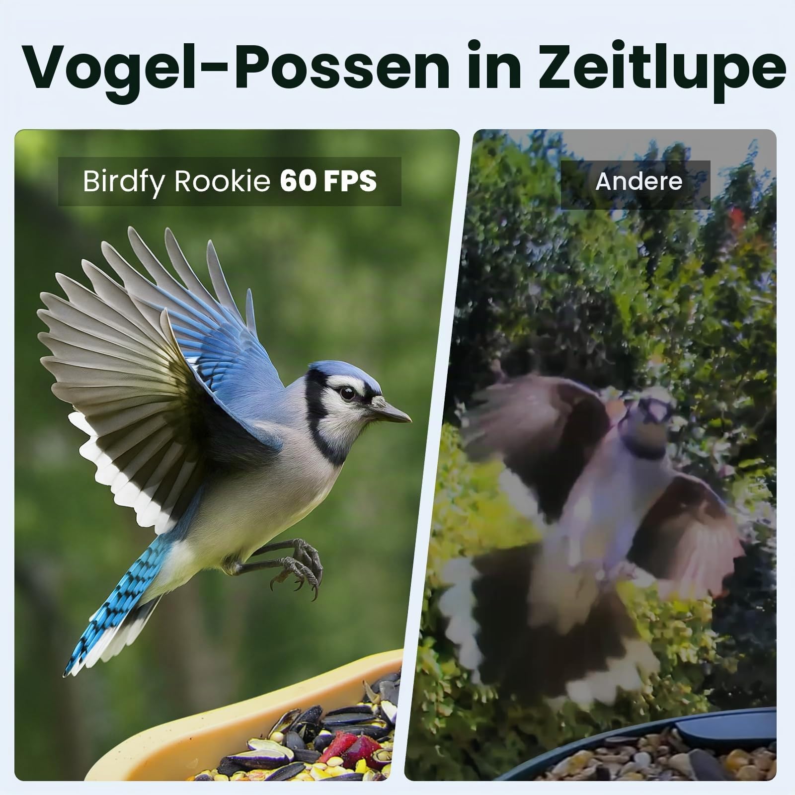 Birdfy Smart Vogelfutterhaus mit Kamera für Anfänger, Vogelfutterspender mit Nachtsicht, KI Vogelerkennung kostenlos, IP66 Wasserdicht für Vogelliebhaber