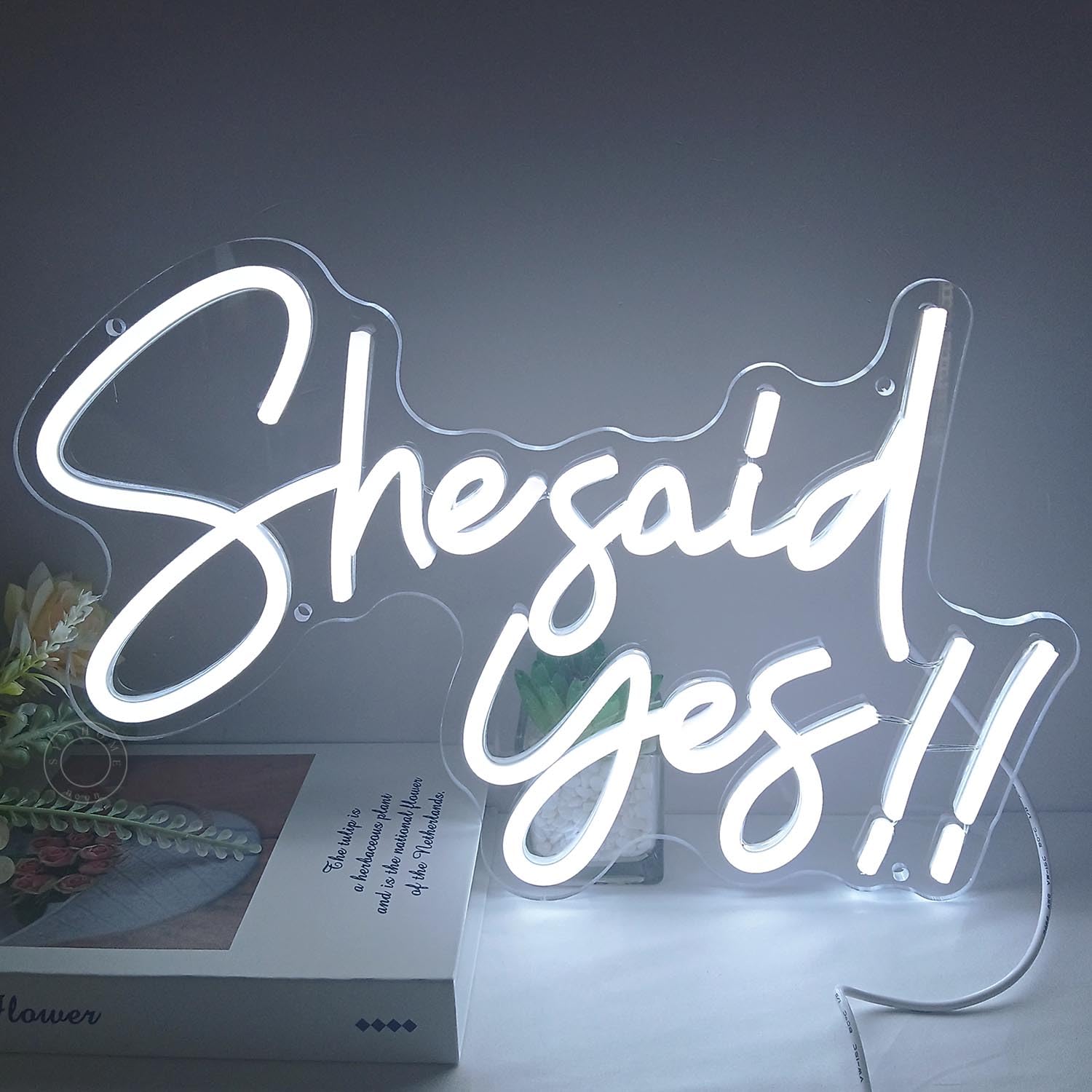 SYLHOME She Said Yes !! Led Neon Light Up Sign Propose Engagement Marry Me Wedding Party Wall Decor Sign Bachelorette Bridal Shower Party Bedroom Sign 15.8"X10.2" USB Cold White