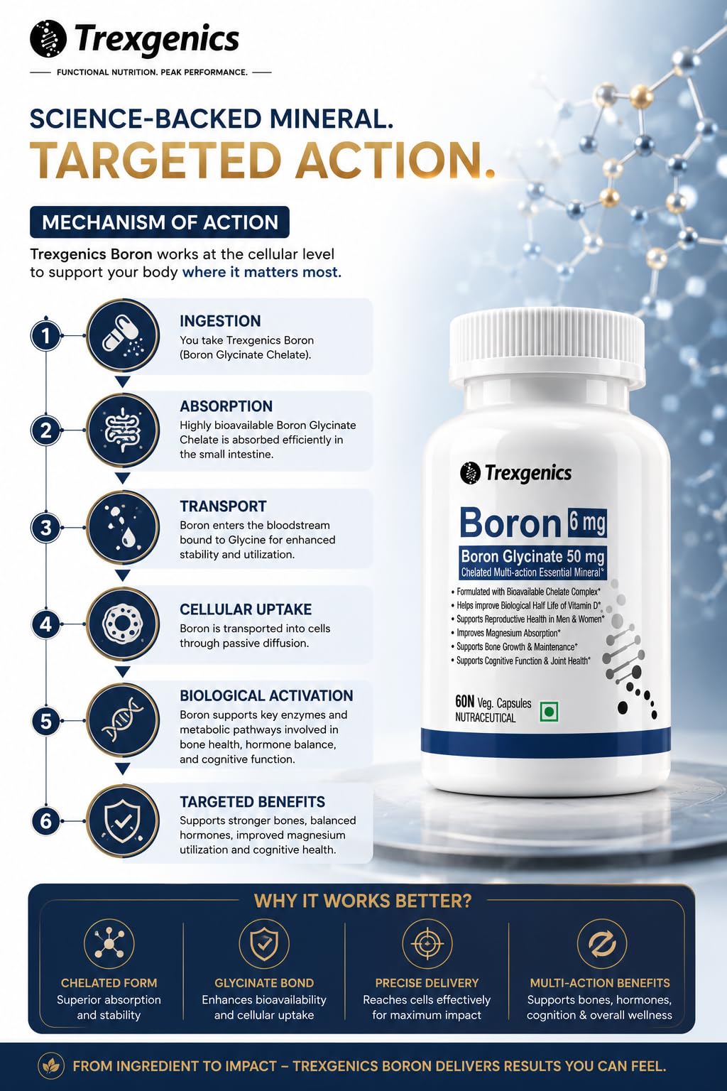 Trexgenics Boron 6 mg from Boron Glycinate 50 mg Multi-action Mineral, Bone, Cognitive Function & Joint Health (60 Veg Capsules) 2