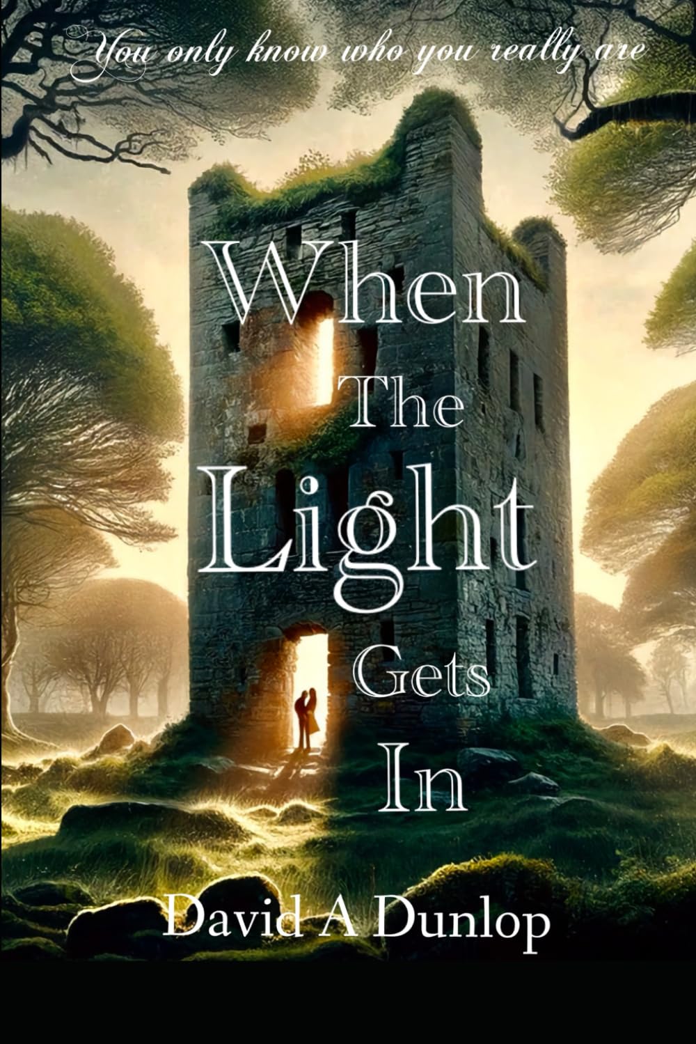 When The Light Gets In