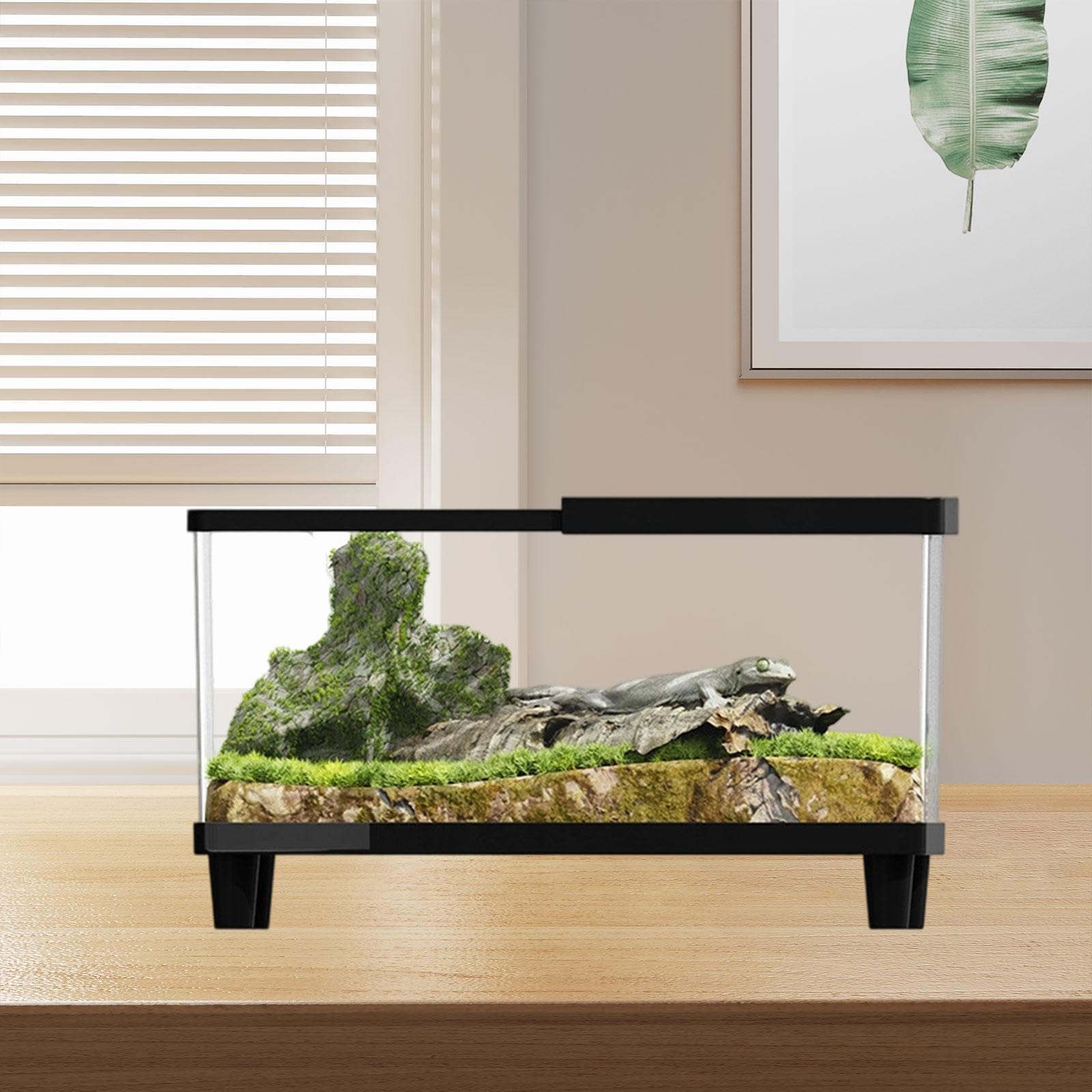 Mini Terrario con Ventilación, Tanque Pequeño para Ranas Y Serpientes, Negro, 40 Cm X 21.5 Cm X 23