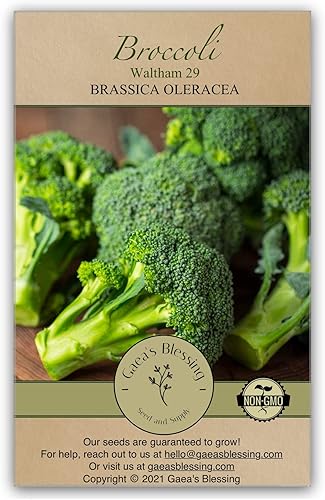 Gaea's Blessing Semillas de brócoli - Waltham 29 - Sin OMG con instrucciones fáciles de seguir (idioma español no garantizado), polinizado abierto,