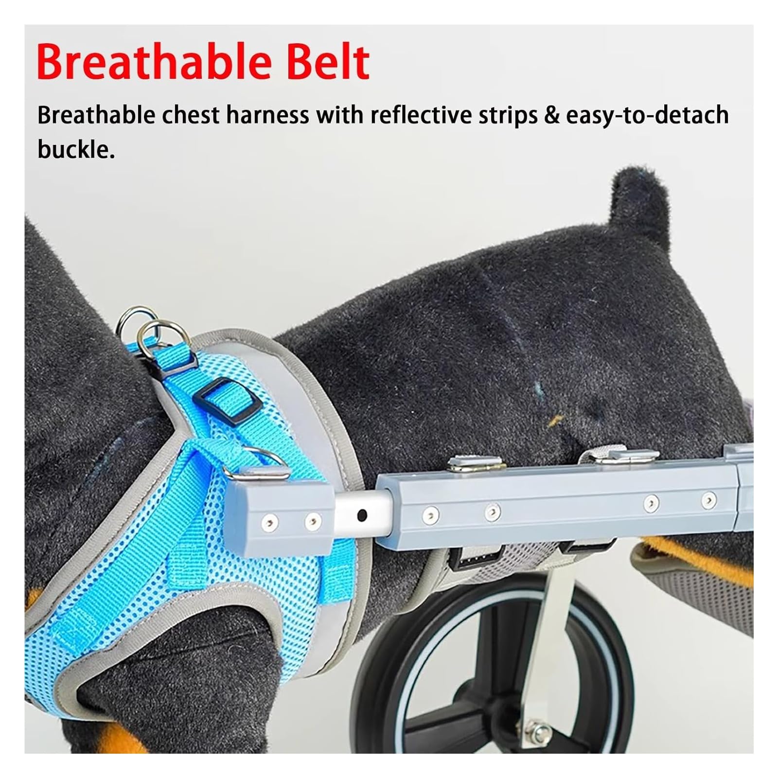 Sedia a rotelle per cani, Carrello Cani Disabili, Attrezzatura for la riabilitazione di animali domestici a 4 ruote for la deambulazione delle zampe posteriori disabili, dispositivo for la deambulazio