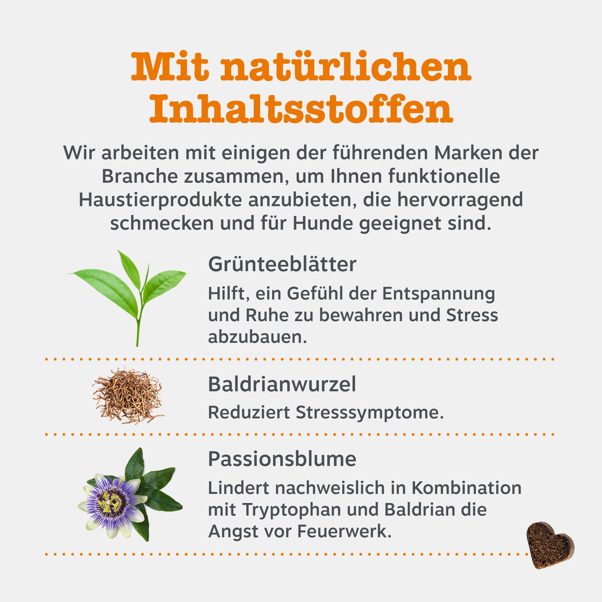 Zesty Paws Beruhigung Dogs | Unterstützt bei Trennungsangst, Stress, Hyperaktivität & Entspannung | Beruhigungsleckerlis mit Ashwagandha, L-Tryptophan & Grüntee | Für Hunde Täglich | 90 Chews