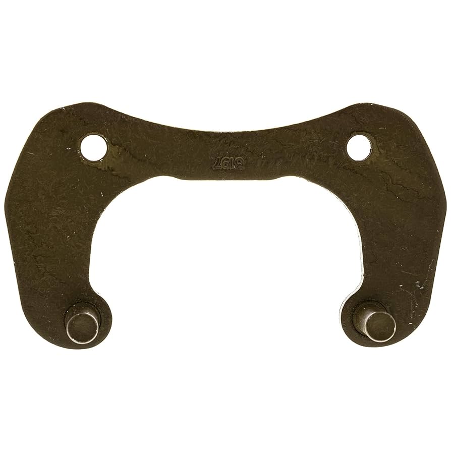 Amazon.com: Polaris 1913197 Caliper Mount RZR XP Sport EPS