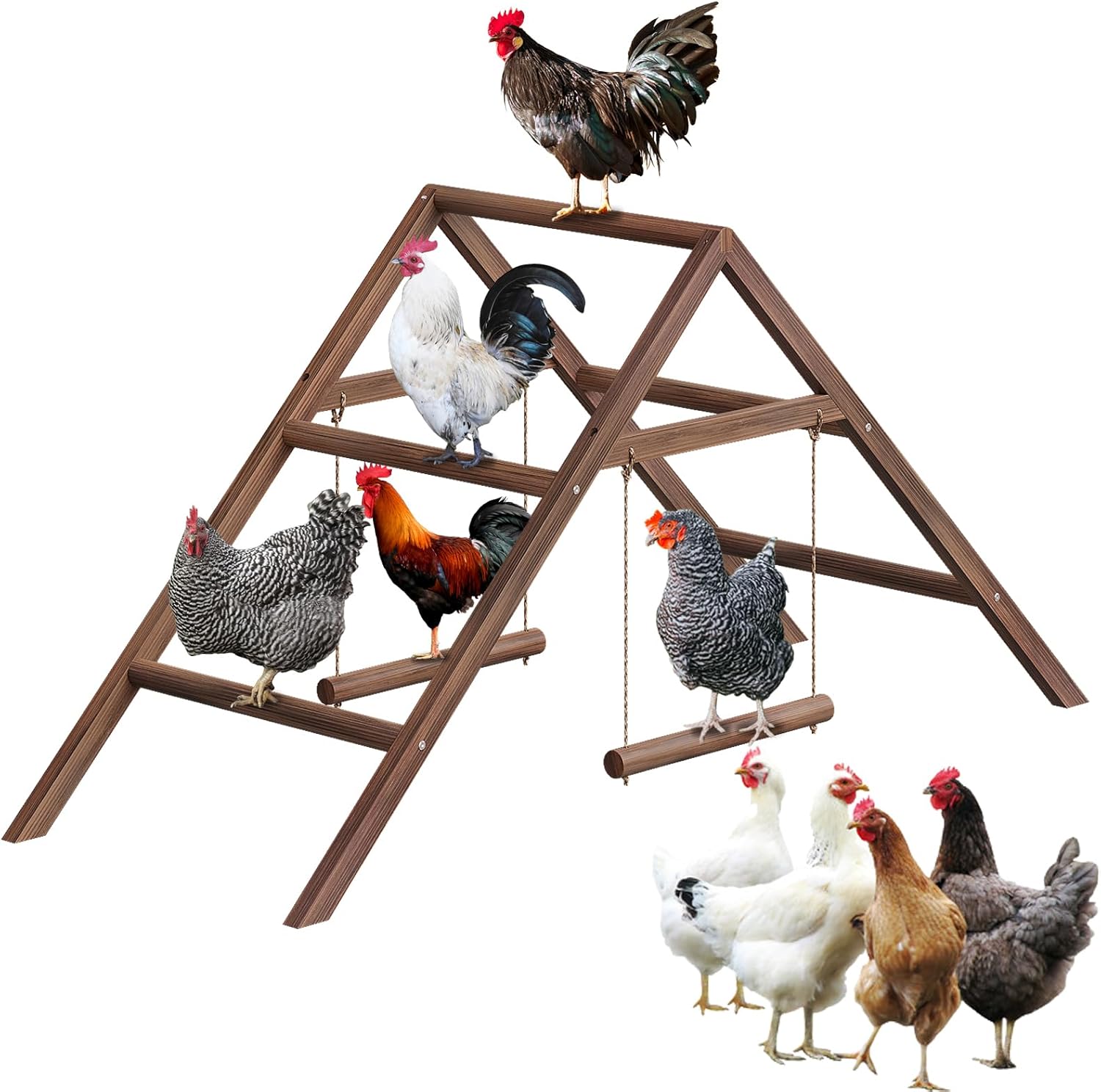 Pine Wood Chicken Perch with 2 Swings & Ladder, Multi-Level Chicken Roosting Bars for Backyard Coop, Roosting Bars for 10–12 Chickens, Easy to Assemble & Clean