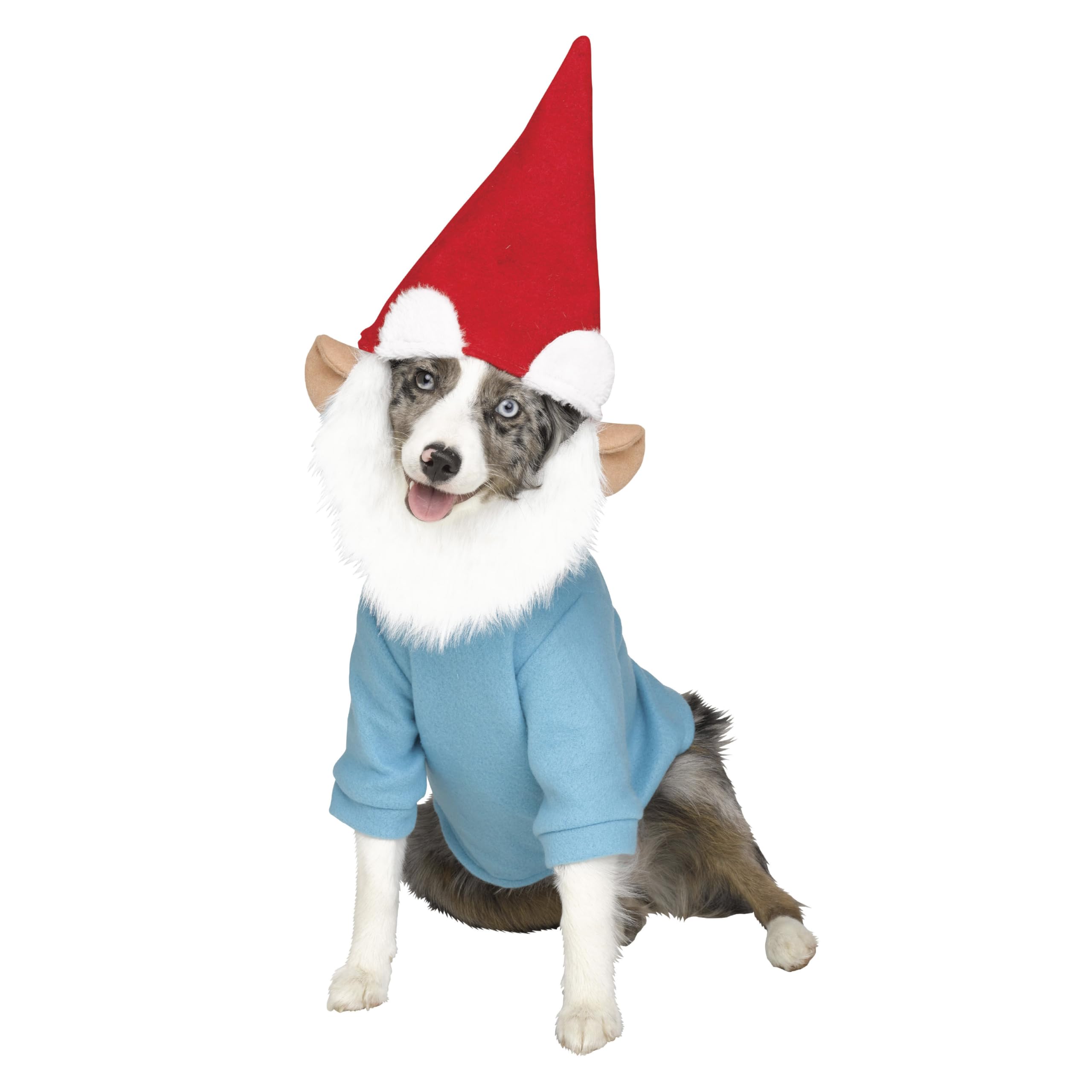 Costume de nain de jardin pour chien XL : partagez des moments de complicité