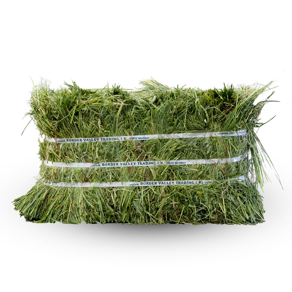 Border Valley Timothy Hay Bale in Bag, 50 lb - High Fiber Grass Hay for Rabbits, Guinea Pigs, Chinchillas, Tortoises, Horses and Livestock - Classic Coarse Grass Hay, Farm-to-Home Freshness