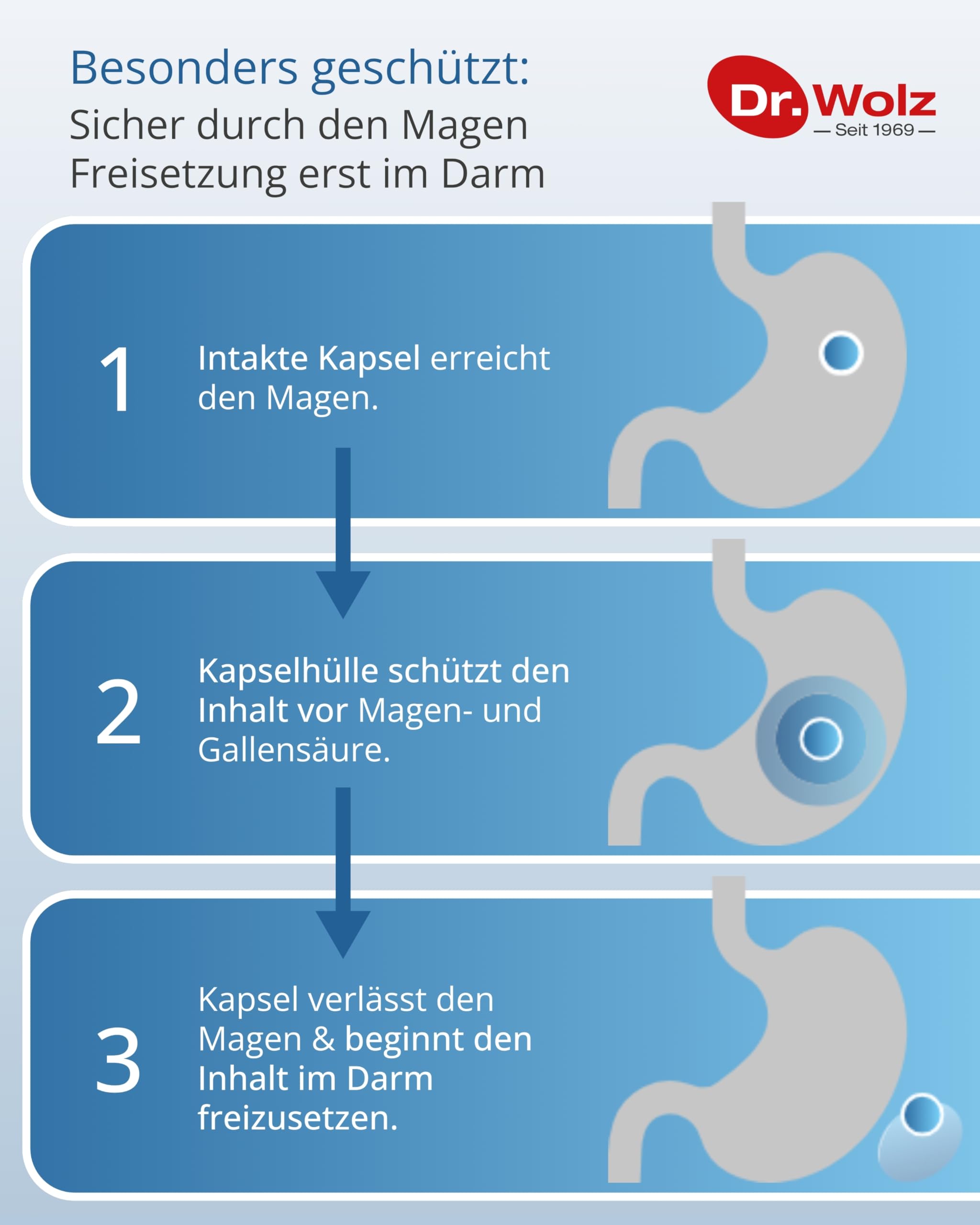 Dr. Wolz Darmflora plus select* - 80 Kapseln hochdosiert - 8 Milchsäurebakterien-Stämme - 48 Mrd Bakterienkulturen pro Tag - Kulturen Komplex für Darmschleimhaut & Immunsystem - Darm-Kur* - vegan