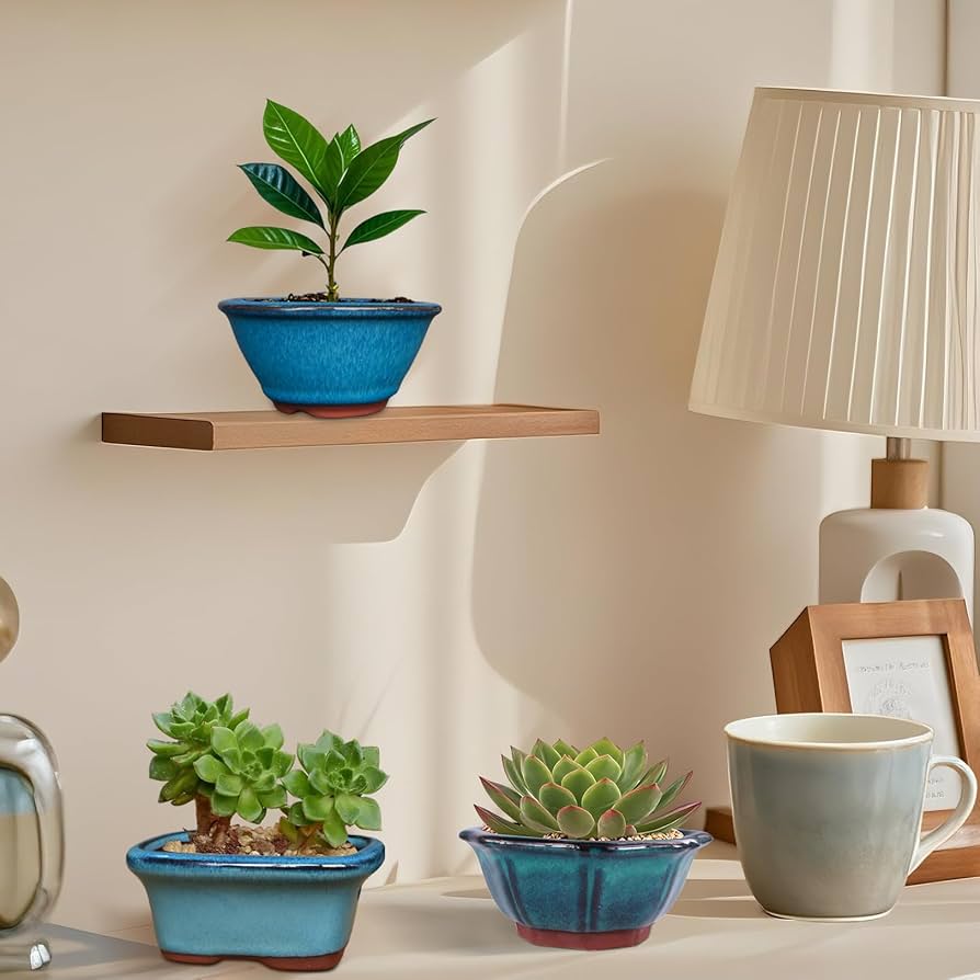 盆栽鉢 61Oabks-ZpL._AC_UL210_SR210,