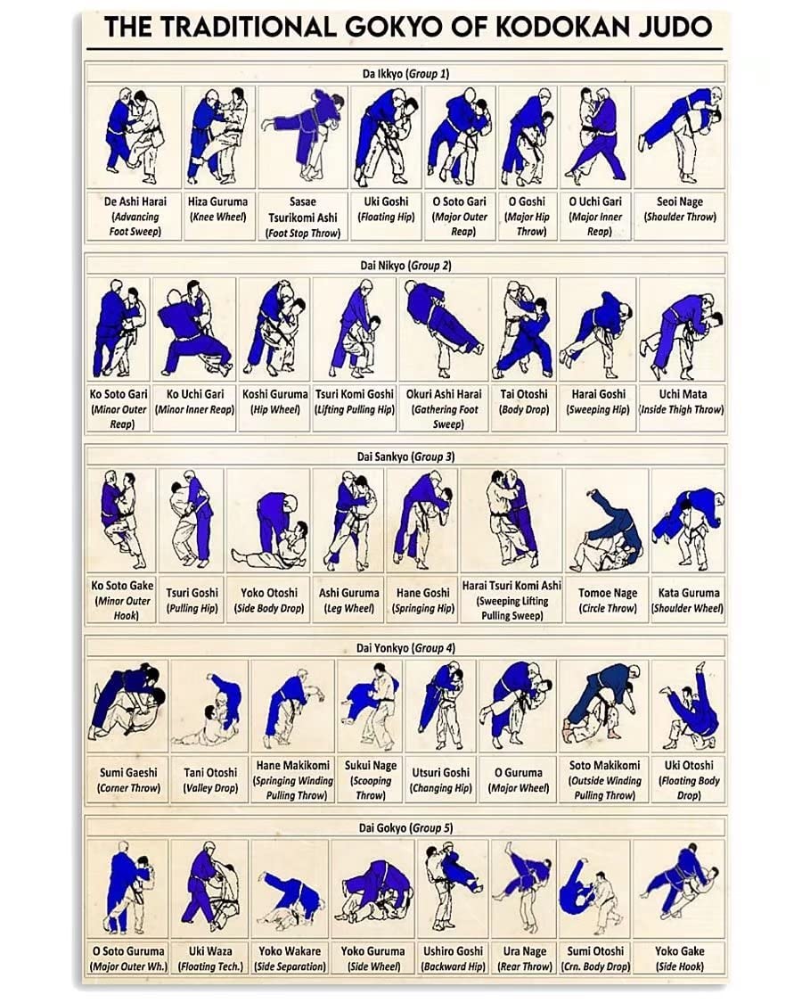 rayprint The Traditional Gokyo Of Kodokan Judo Knowledge Poster Vintage Art Metal Tin Sign For Home Kitchen Office Studio Club Cave Wall Art 8x12Inches