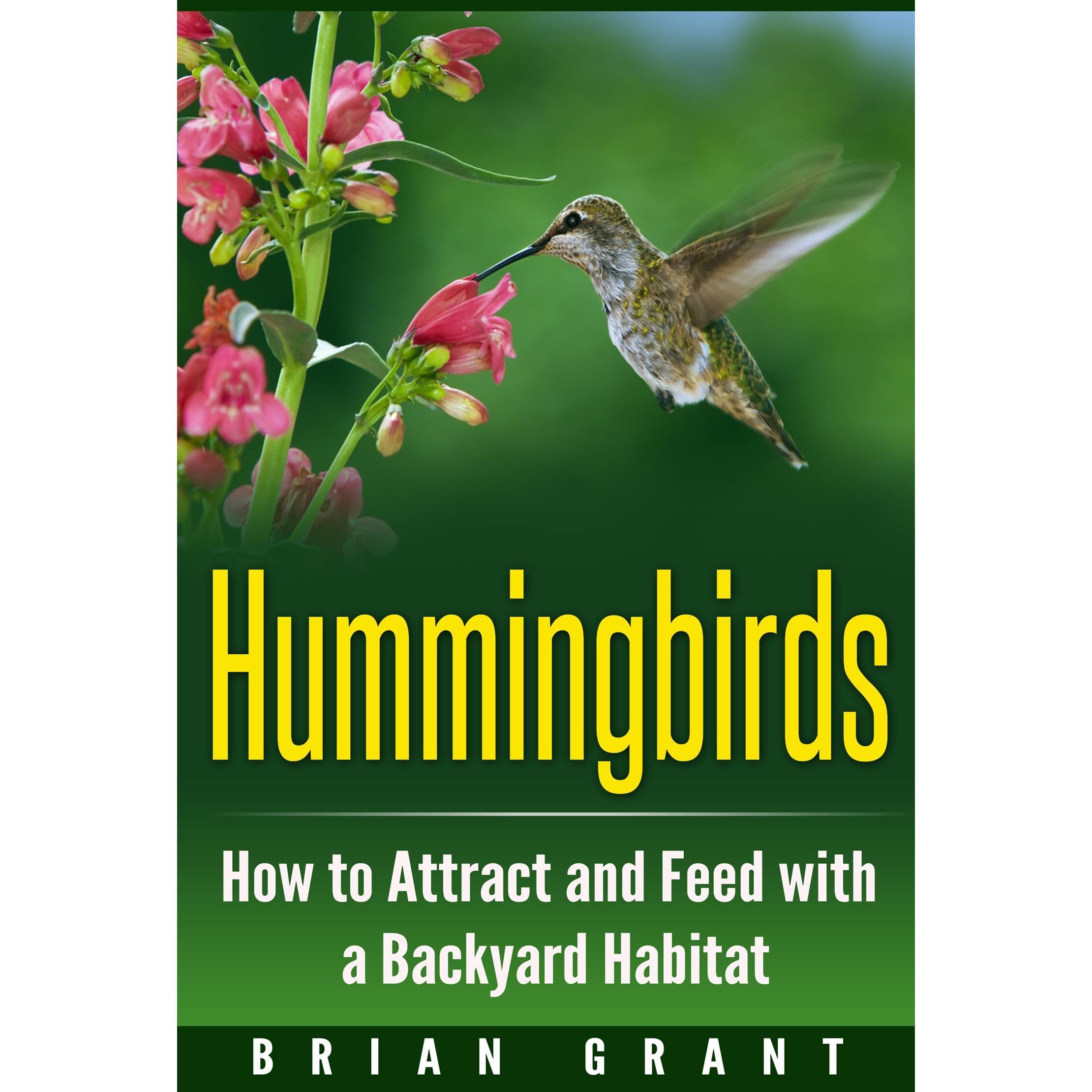 Hummingbirds: How to Attract and Feed with a Backyard Habitat