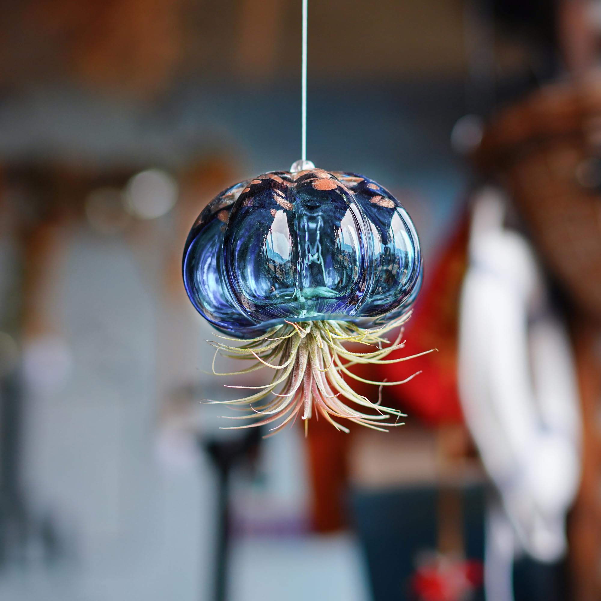 Vaso per piante aeree da appendere a forma di medusa Soffiato in vetro, dolce medusa blu, regalo per camera delle donne, giardino, decorazione per feste di nozze
