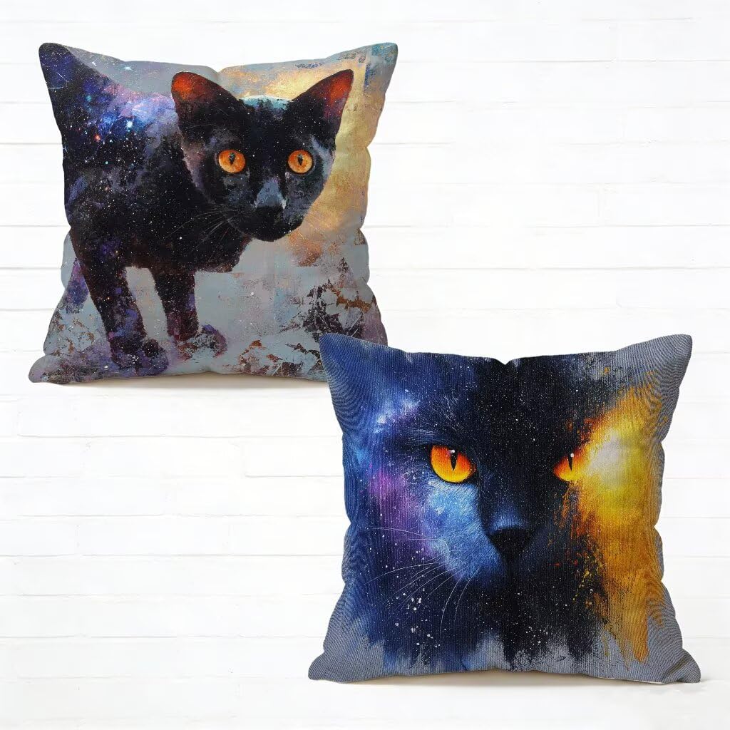 Taie oreiller exterieur chat lot de 2, cadeau déco original