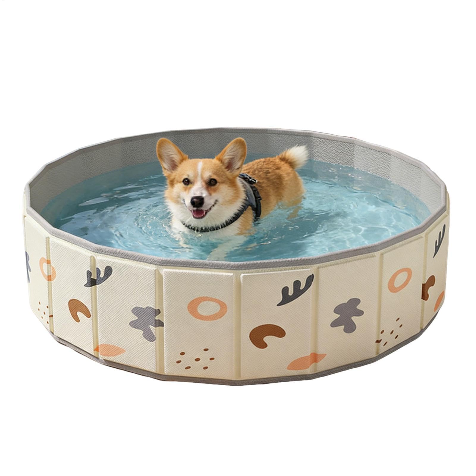 Piscine pour chien sans crevaison : fini le gonflage fastidieux avec ce bassin pliable