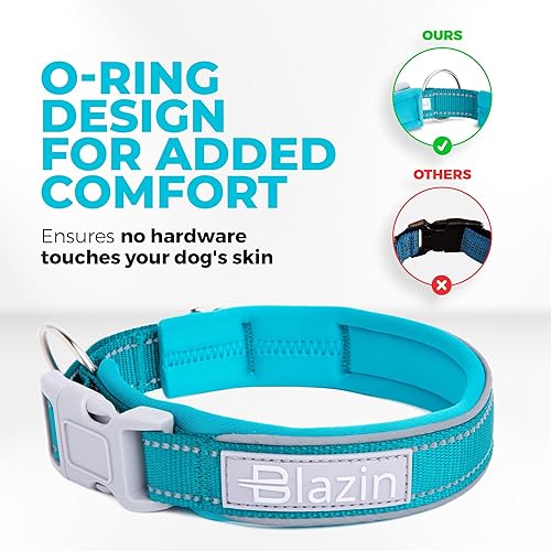 Miniatura 5 de BLAZIN Collar reflectante para perro 'O So Comfy' con ribetes Reflectech para una visibilidad superior por la noche, diseño de junta tórica y