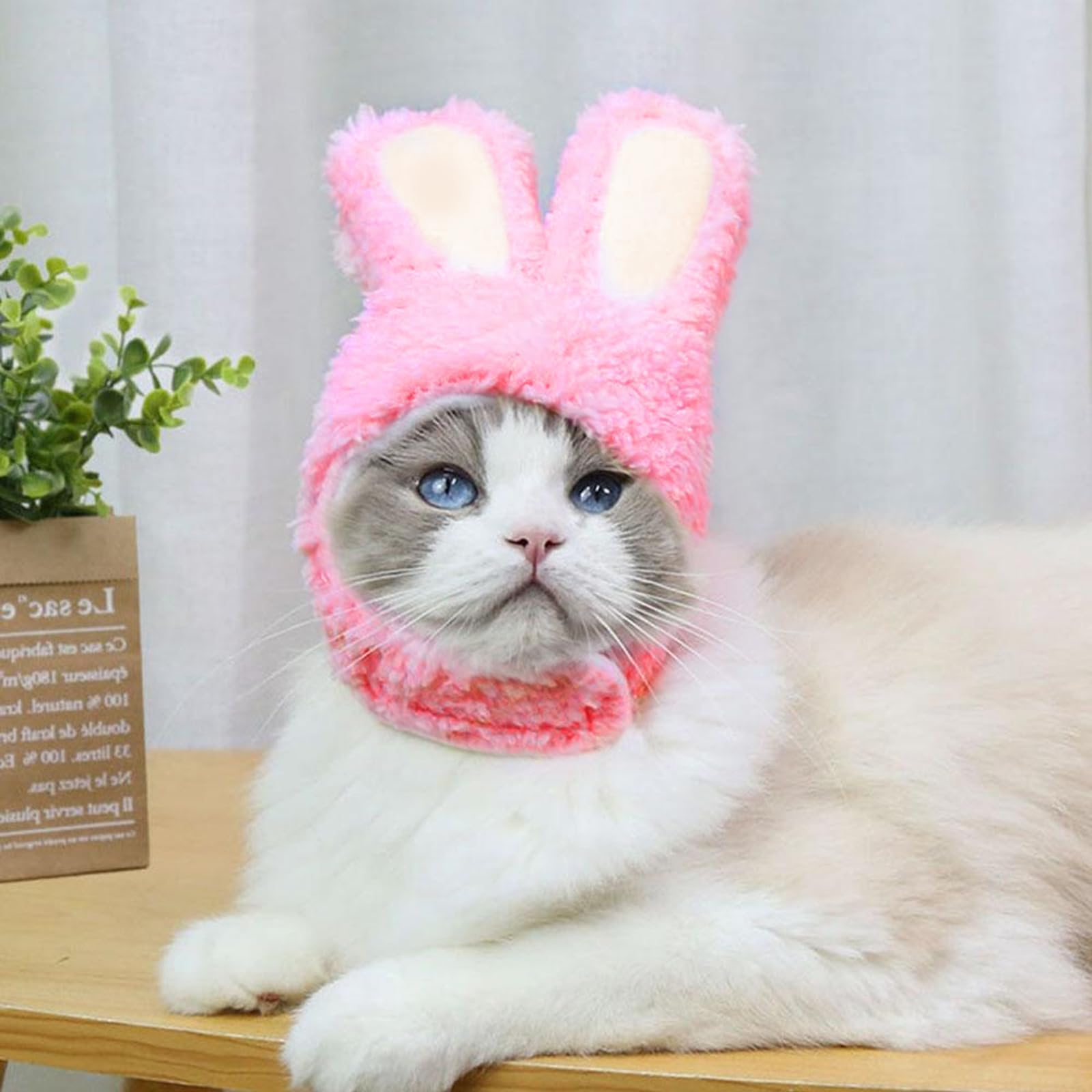 Disfraz de Gato Orejas de Conejo, Gorro para Mascotas Pascua, Apto para Gatos y Perros Pequeños (Rosa)