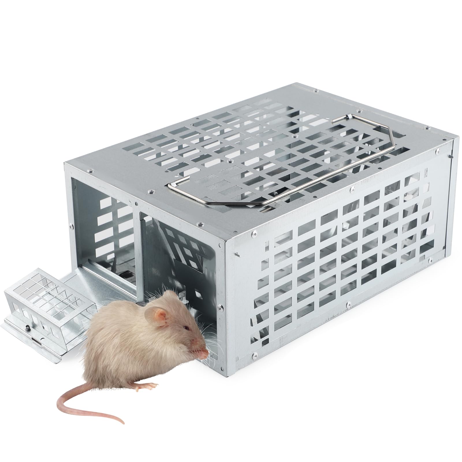 Cinnani Galvanised Sheet Metal Rat Trap, Large, Double Bait Zone, Reusable  Mouse Trap, Live, Safe for