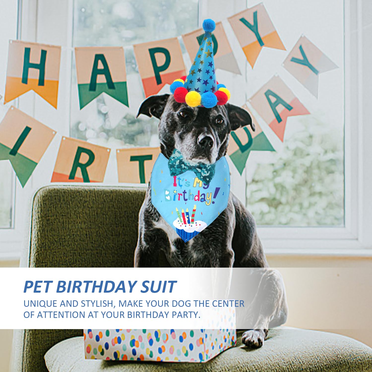 Set Da 86 Pezzi Per Festa Di Compleanno A Tema Cane – Sacchetti Regalo, Portachiavi, Braccialetti Slap E Adesivi Fai-da-te, Per Bambini E Ragazzi