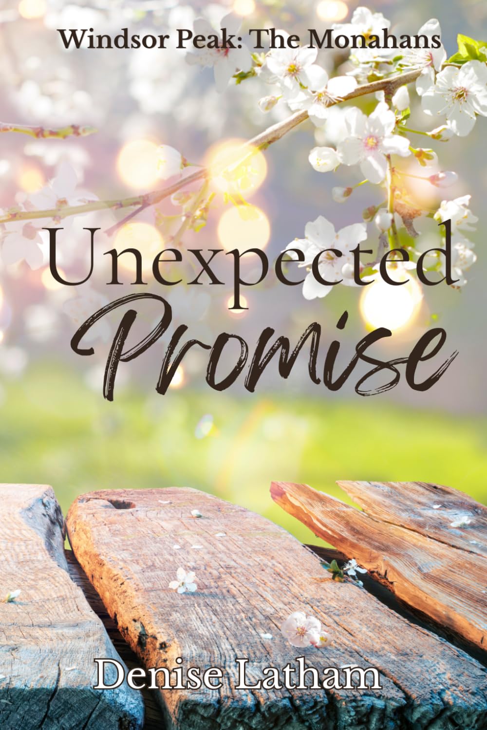 Unexpected Promise: A Small Town Romance