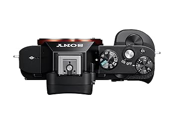 SONY - 【本日限定出品】美品 SONY a7 ILCE-7 Sony Alpha 7 ILCE-7 Review | ePHOTOzine