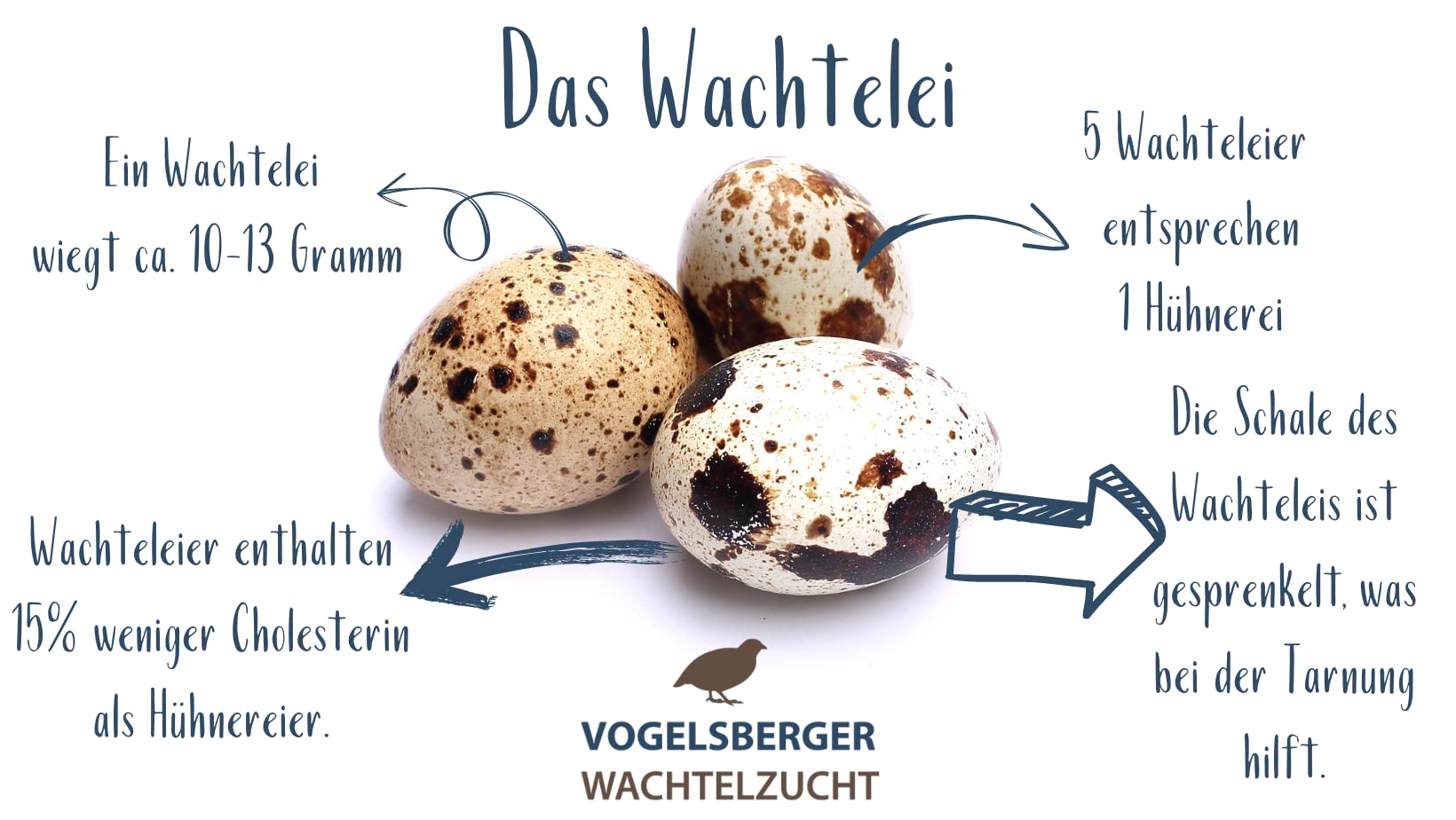 180 Delikatess Wachteleier Speiseeier