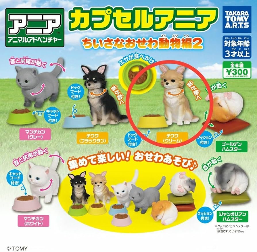 新品　チワワ　天使　フィギュア　42個セット Amazon.co.jp: カプセルアニアちいさなおせわ動物編2 チワワ 犬 ドック
