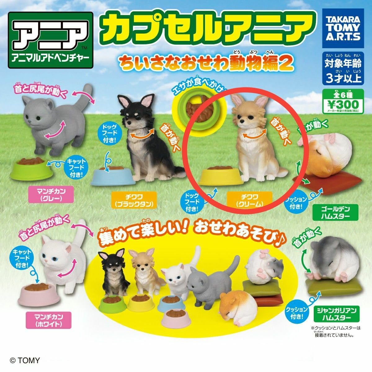 Amazon.co.jp: カプセルアニアちいさなおせわ動物編2 チワワ 犬 ドック