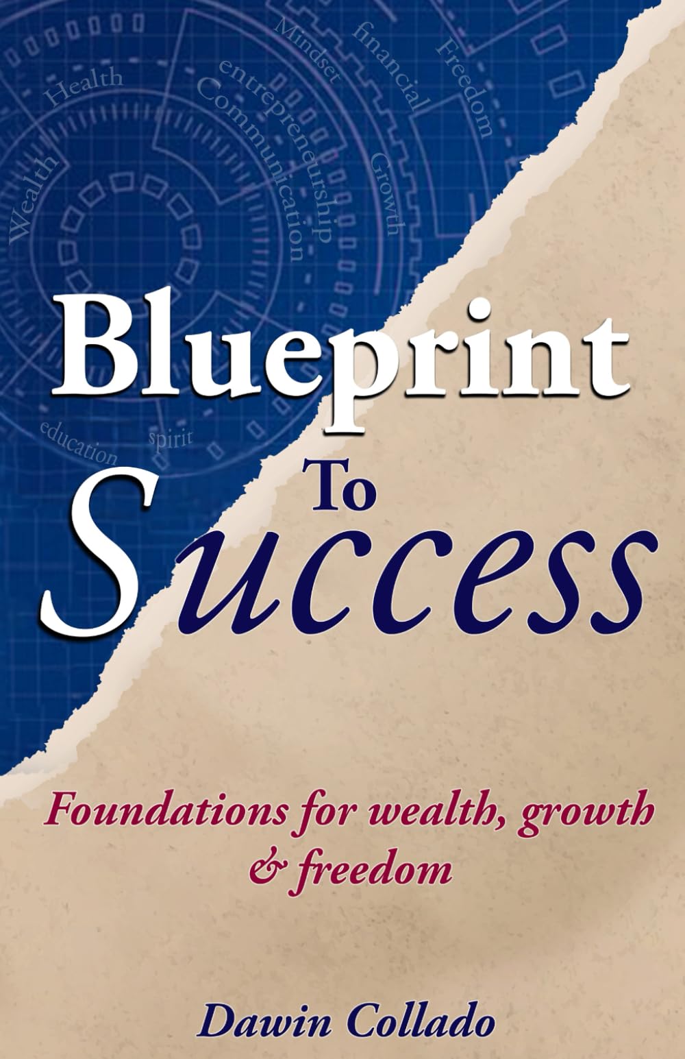 Blueprint To Success: Foundations For Wealth, Growth & Freedom