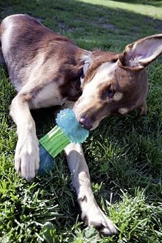 Dogit Design GUMI Dental Dog Toy, Chew and Clean, Medium