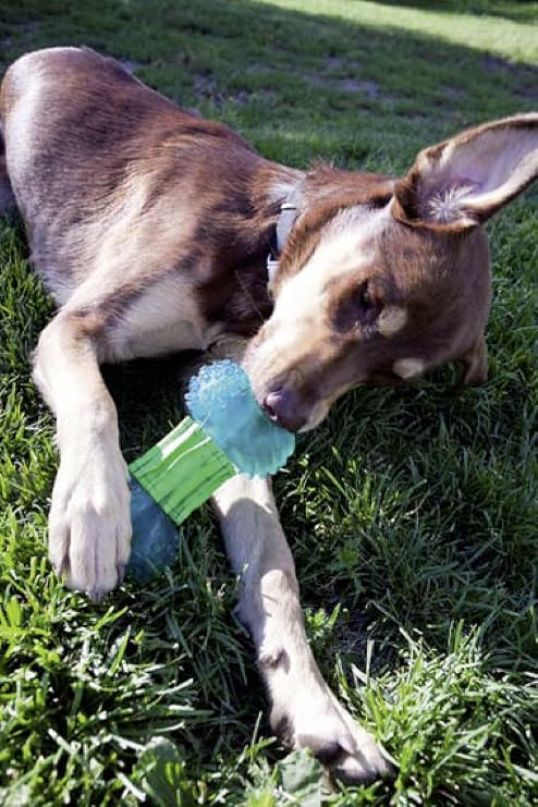 Dogit Design GUMI Dental Dog Toy, Chew and Clean, Medium