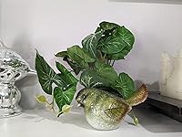 Review Image by K. Boller K. Boller