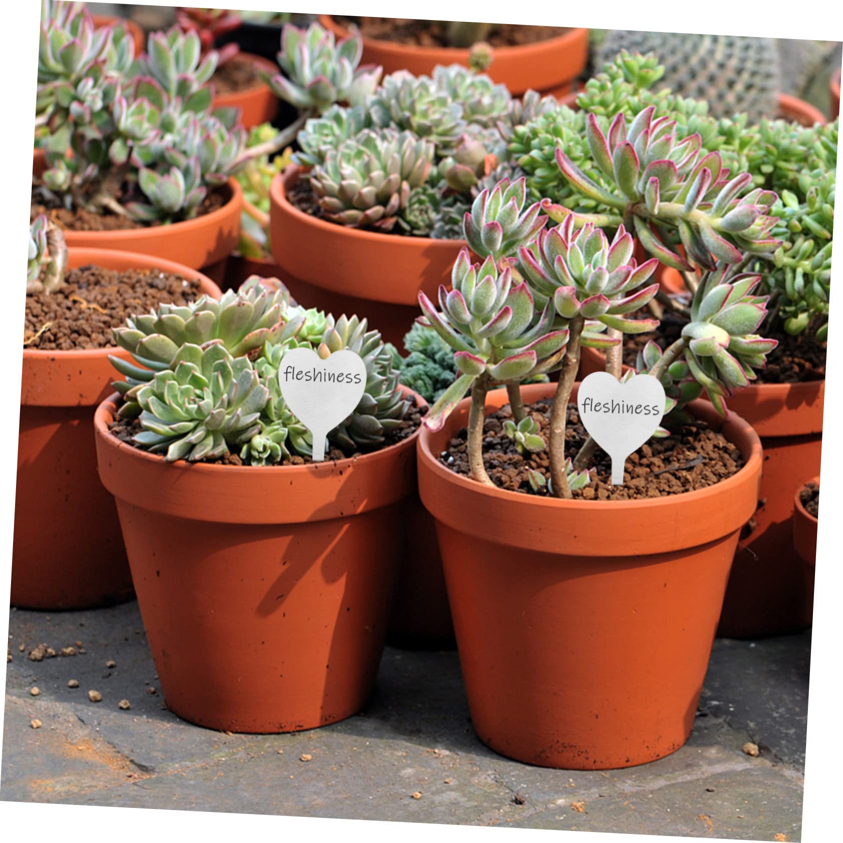 BESTonZON 100pièces Étiquettes De Jardinage Forme De Cœur De Plantes Pour Jardin