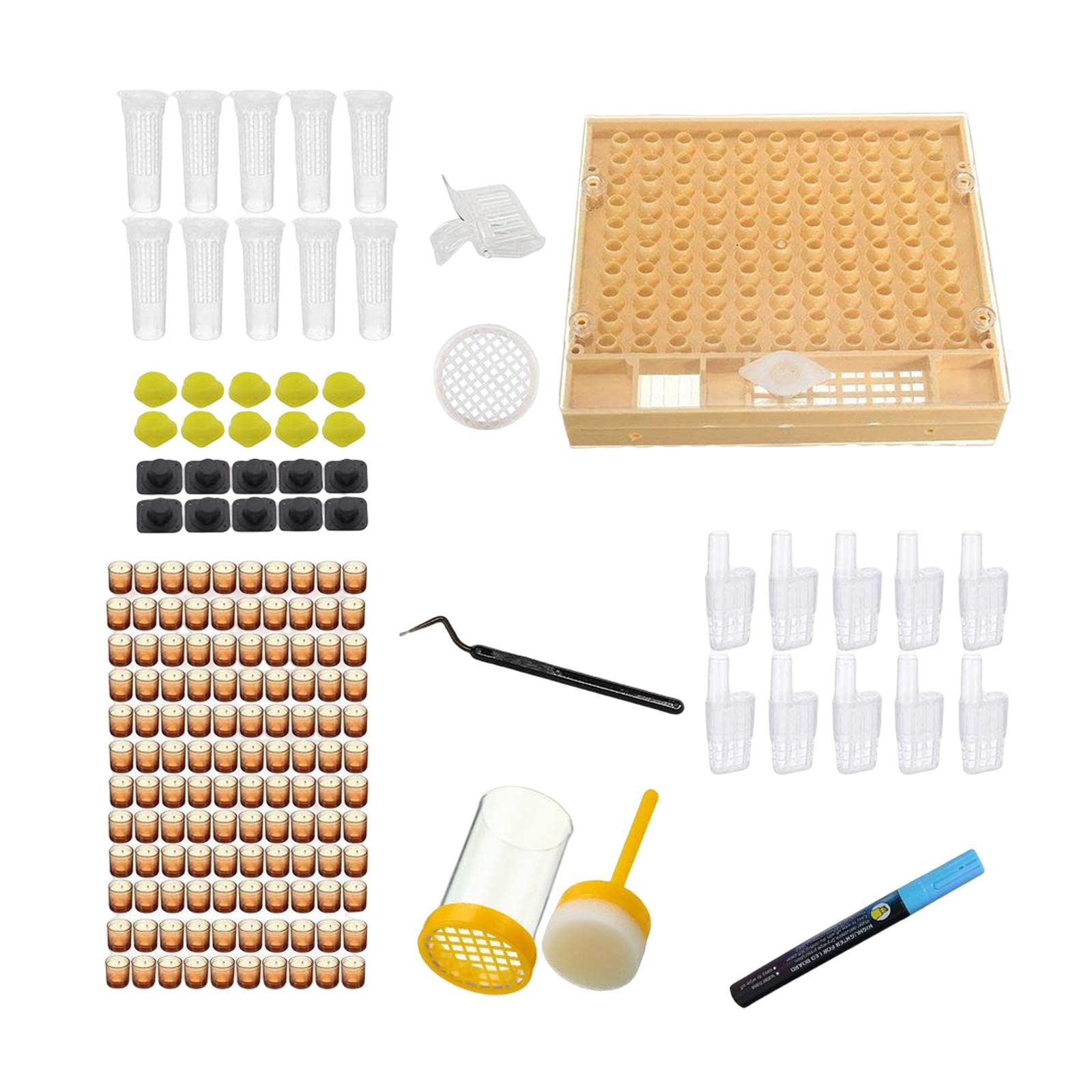 KESOTO Coffret D'élevage de Cages à Reines Contenant des Cellules Productives pour D'œufs et L'élevage de Reines
